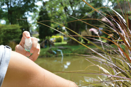 Stave Off Mosquitoes Image